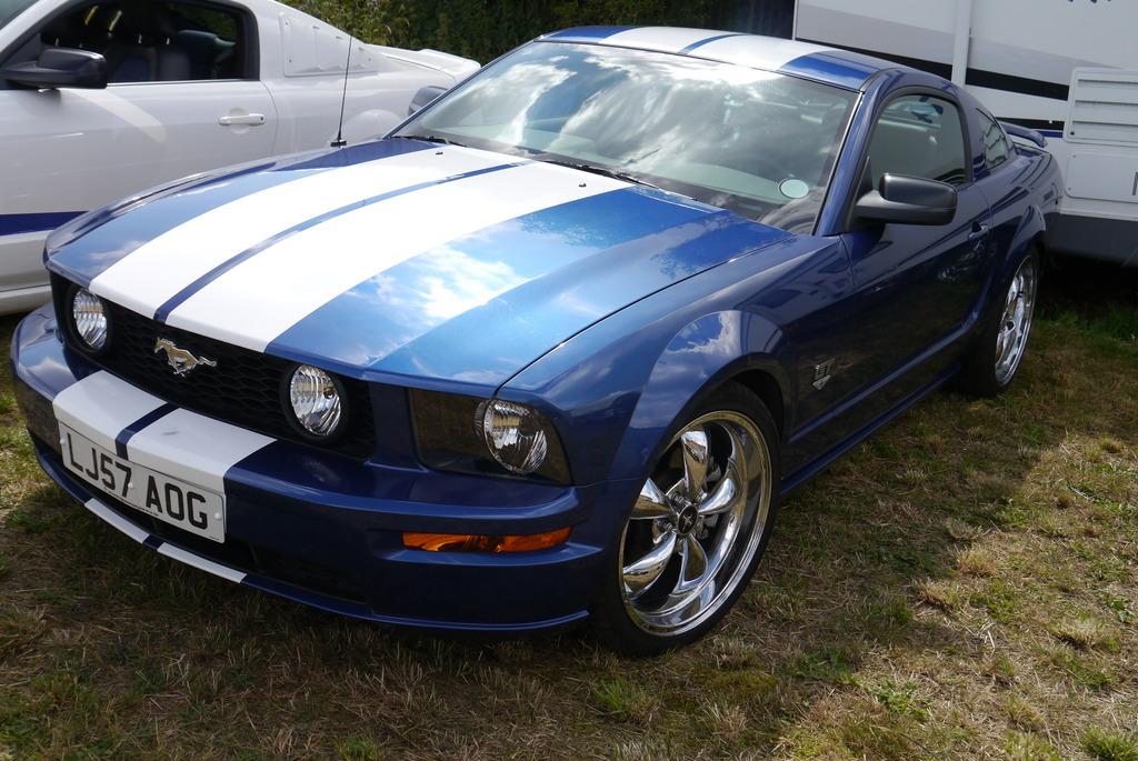 Name:  P1080357_zpswkrgle7p.jpg
Views: 131
Size:  271.9 KB