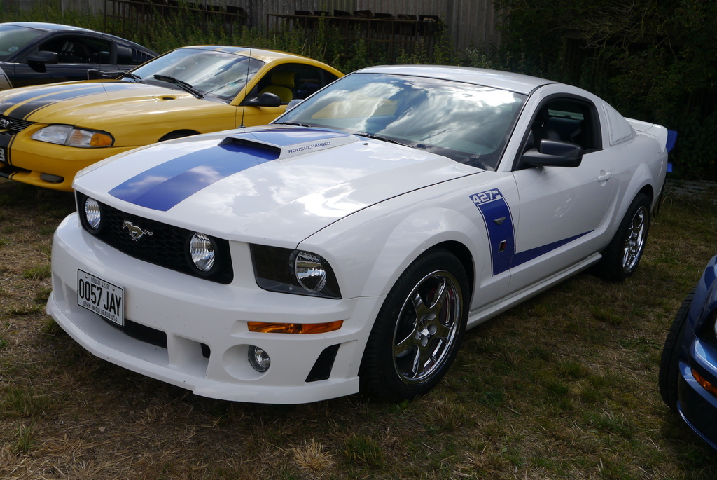 Name:  P1080358_zpsaiphujqi.jpg
Views: 150
Size:  362.8 KB