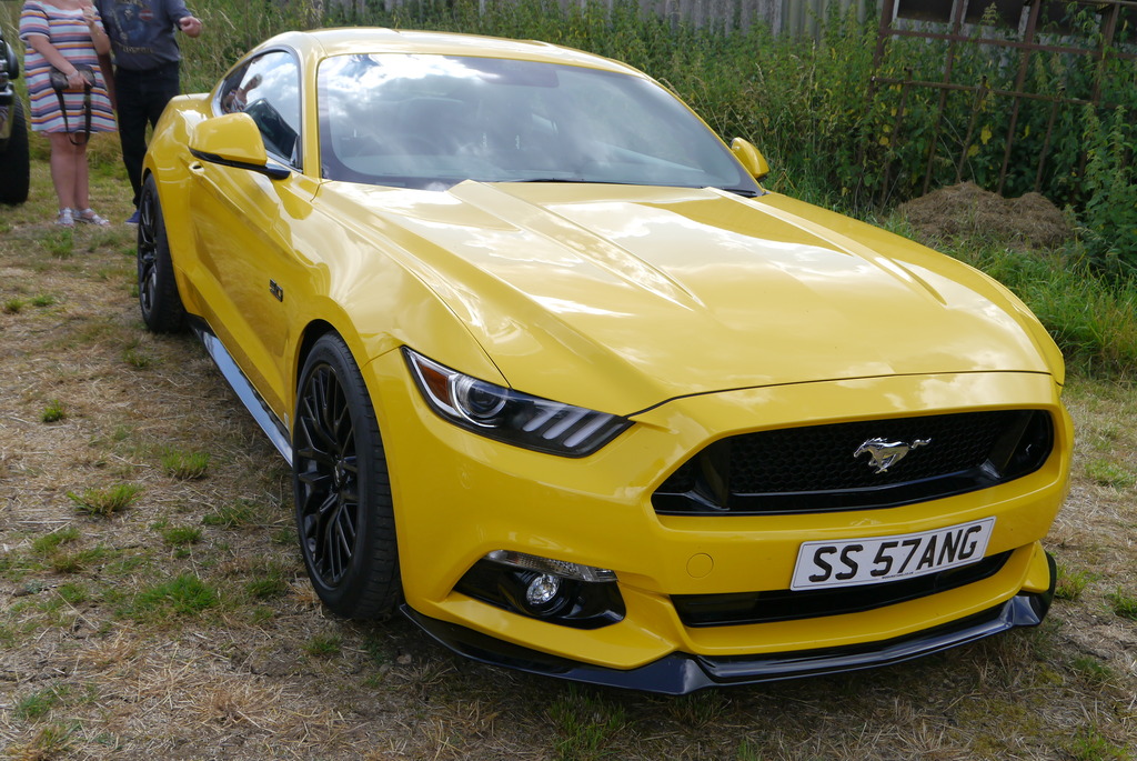 Name:  P1080360_zpsjmbjq9jn.jpg
Views: 160
Size:  297.0 KB