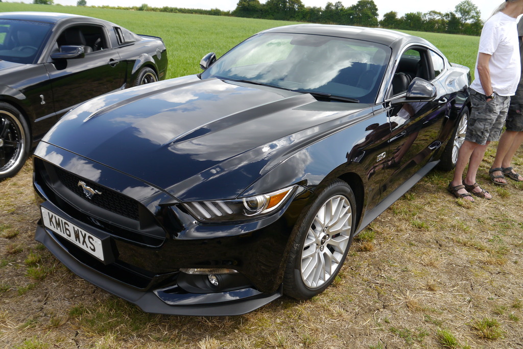 Name:  P1080361_zpsezvf4kmn.jpg
Views: 146
Size:  311.8 KB