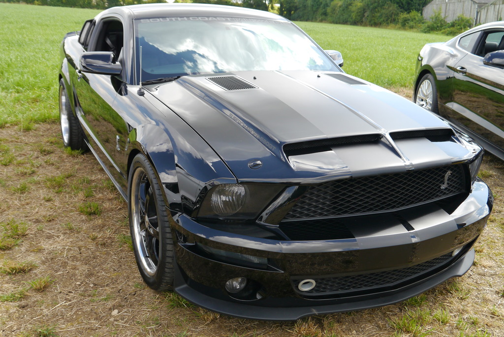 Name:  P1080362_zpsi66mjjyq.jpg
Views: 147
Size:  293.5 KB