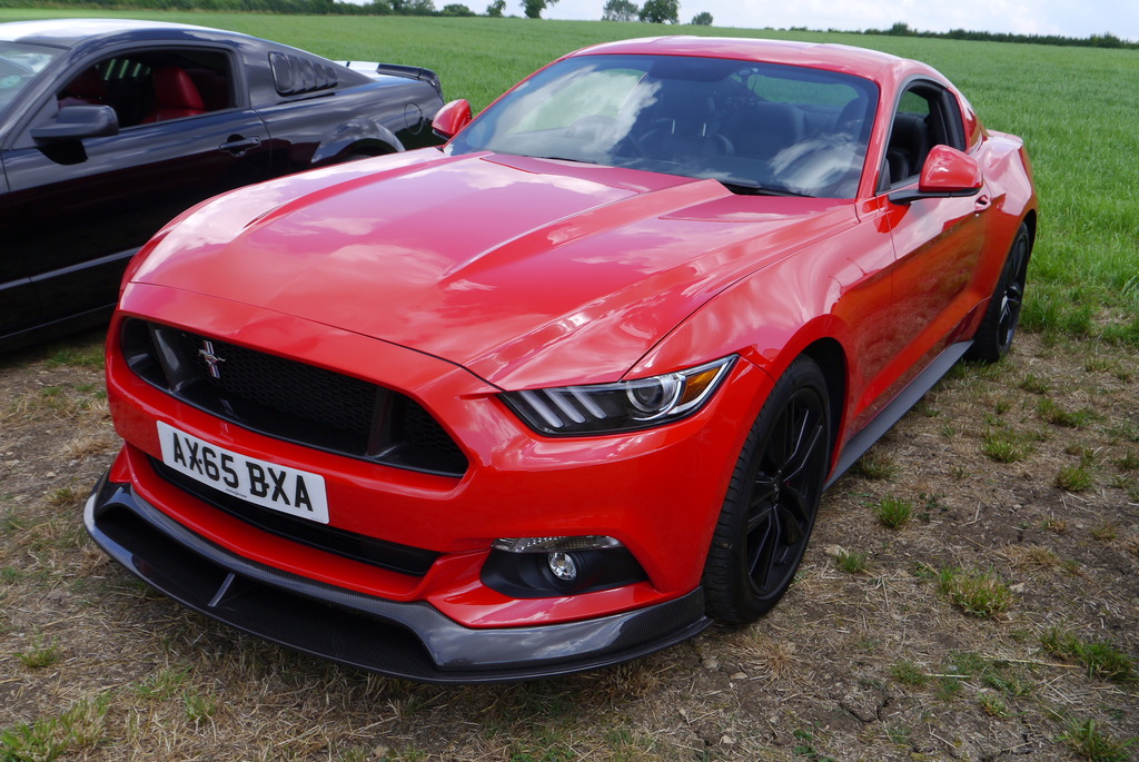 Name:  P1080367_zpslnehycoo.jpg
Views: 141
Size:  293.5 KB