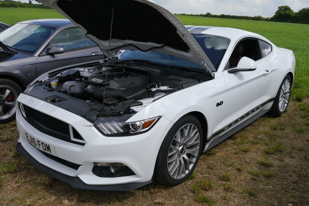 Name:  P1080363_zpscamovguw.jpg
Views: 151
Size:  260.7 KB