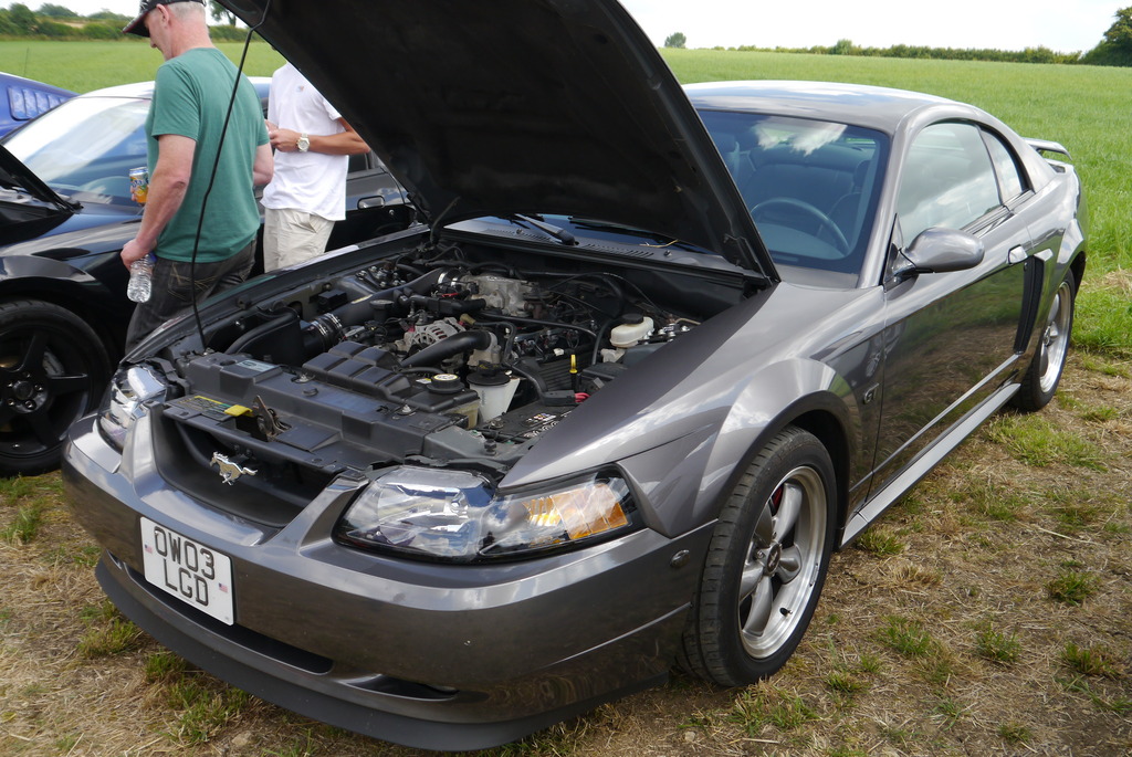 Name:  P1080364_zpsyokblou2.jpg
Views: 135
Size:  281.4 KB