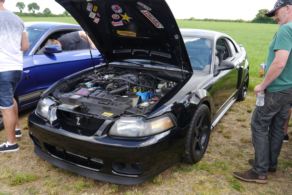 Name:  P1080365_zpschefgrp1.jpg
Views: 139
Size:  303.4 KB