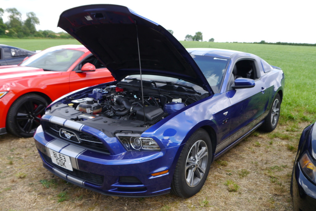 Name:  P1080366_zpss72buyi6.jpg
Views: 140
Size:  220.3 KB