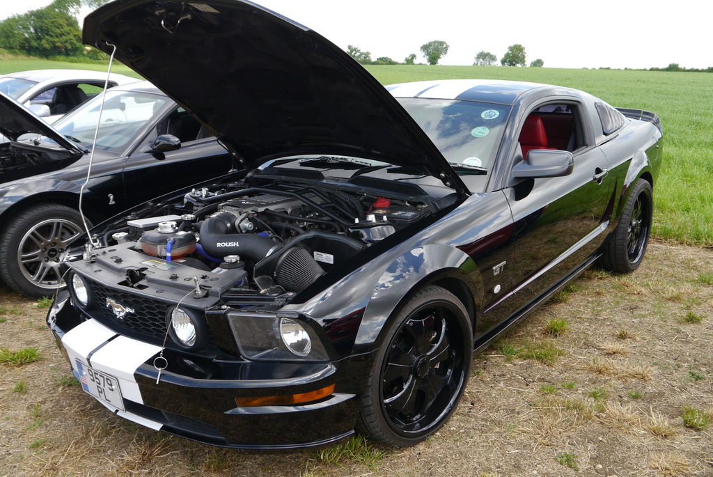 Name:  P1080368_zpshvb7r7w2.jpg
Views: 150
Size:  300.9 KB