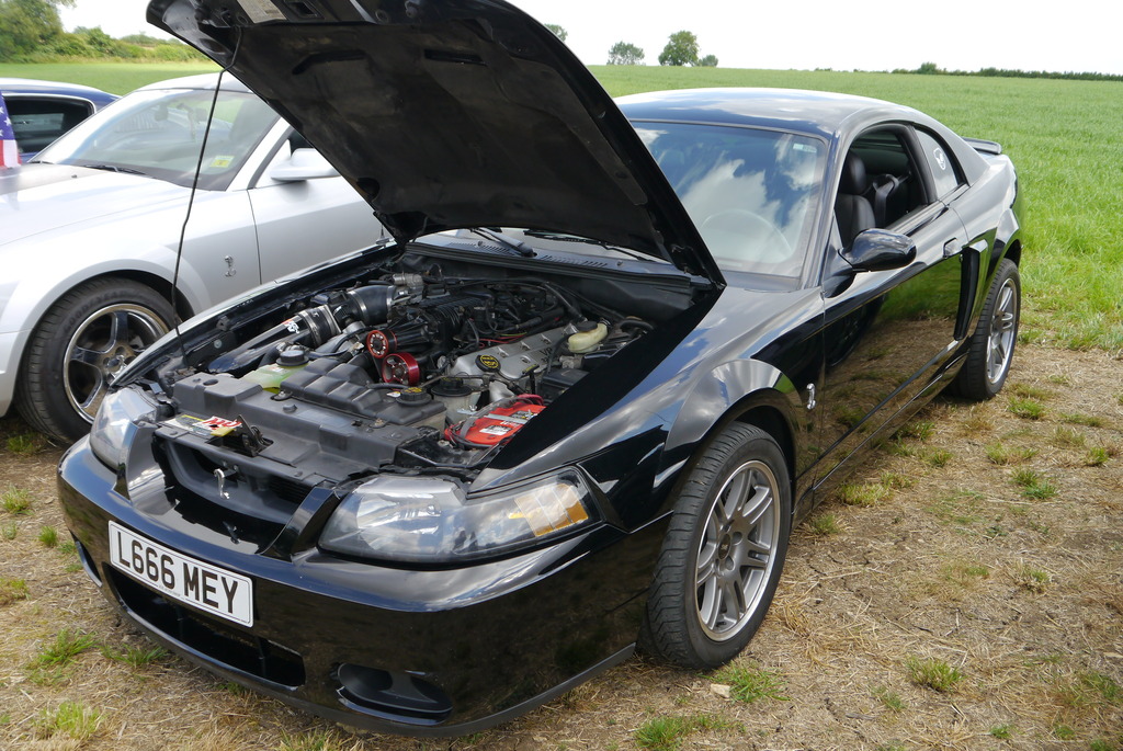 Name:  P1080369_zpsazxwq0bf.jpg
Views: 167
Size:  303.4 KB