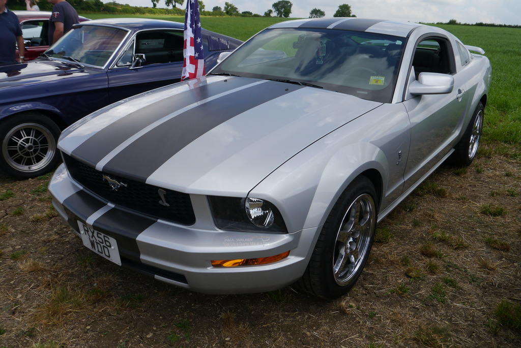 Name:  P1080370_zps9rwds9y0.jpg
Views: 137
Size:  260.6 KB