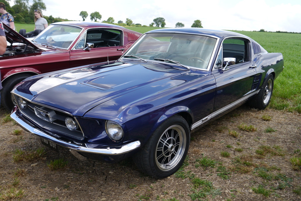 Name:  P1080371_zpste4w1xdt.jpg
Views: 144
Size:  312.1 KB