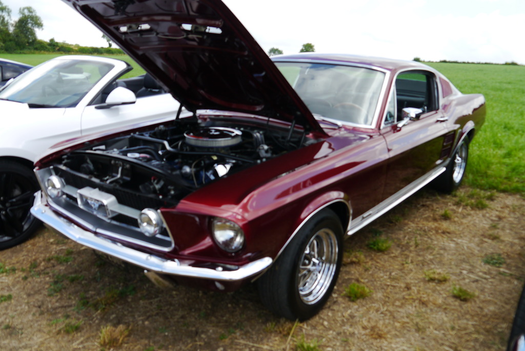 Name:  P1080372_zpszaas8ufd.jpg
Views: 150
Size:  207.2 KB