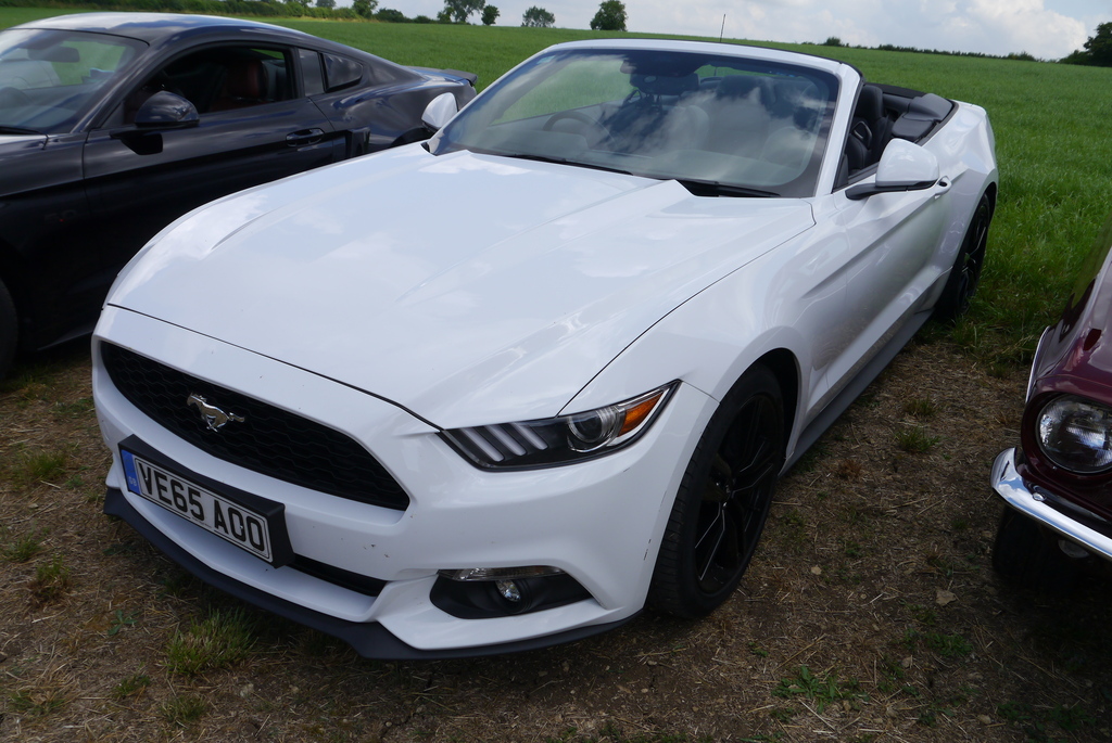 Name:  P1080373_zpsapbrqtos.jpg
Views: 162
Size:  373.4 KB