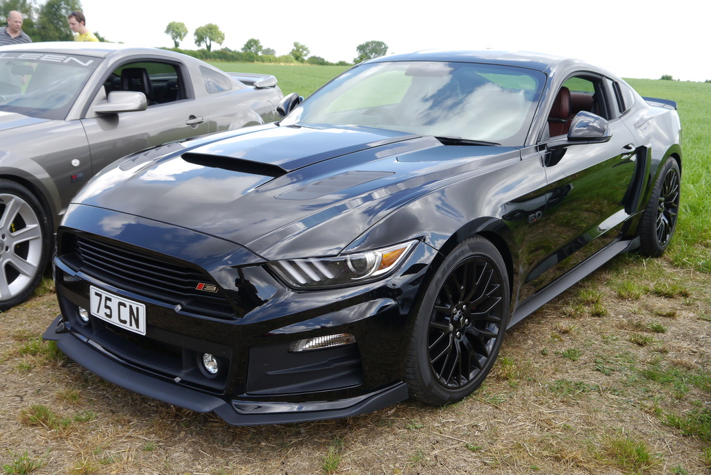 Name:  P1080374_zpsuewjiame.jpg
Views: 143
Size:  284.7 KB