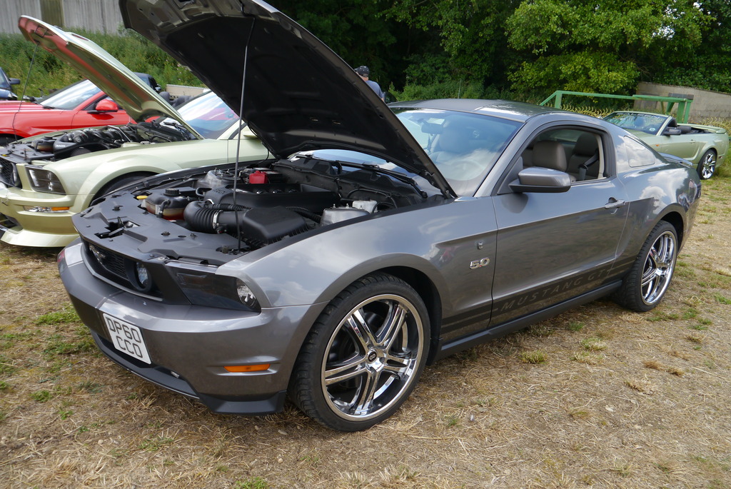 Name:  P1080376_zpsrske1eof.jpg
Views: 143
Size:  324.0 KB