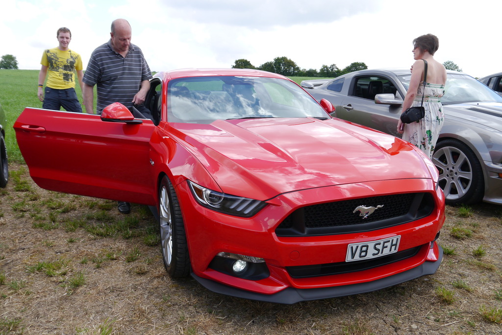 Name:  P1080377_zpskbnmaq91.jpg
Views: 150
Size:  270.7 KB