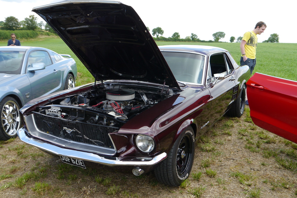 Name:  P1080378_zpsklaqzc9k.jpg
Views: 172
Size:  290.8 KB