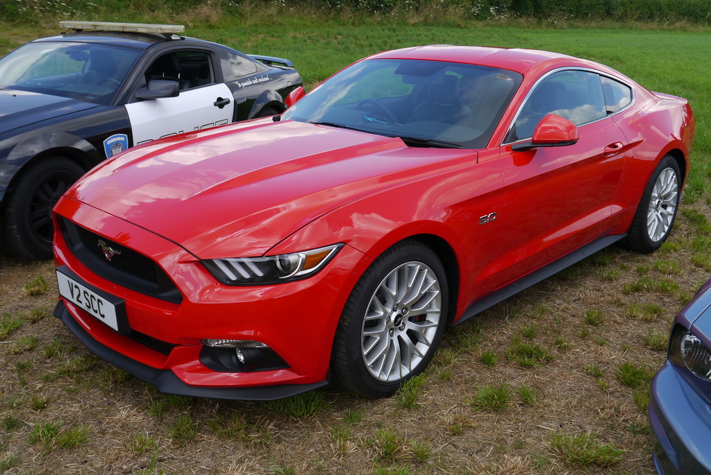 Name:  P1080380_zpscthoicjj.jpg
Views: 152
Size:  300.9 KB