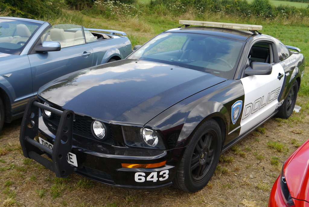 Name:  P1080381_zpsijlncqmm.jpg
Views: 135
Size:  286.2 KB