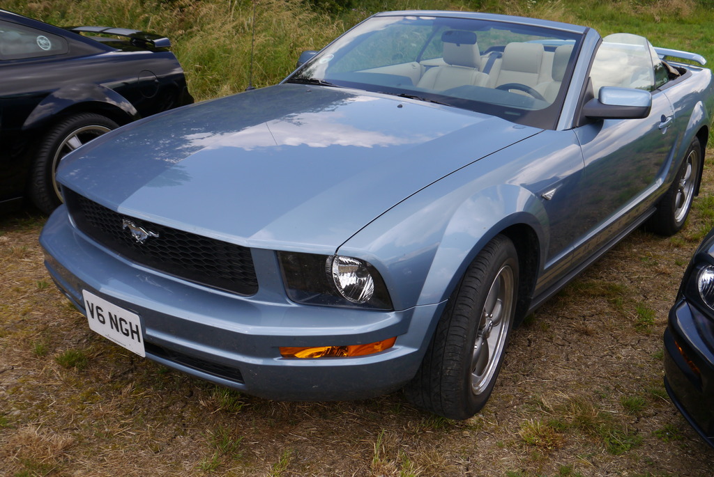 Name:  P1080382_zpsx3uvhxfr.jpg
Views: 162
Size:  271.5 KB