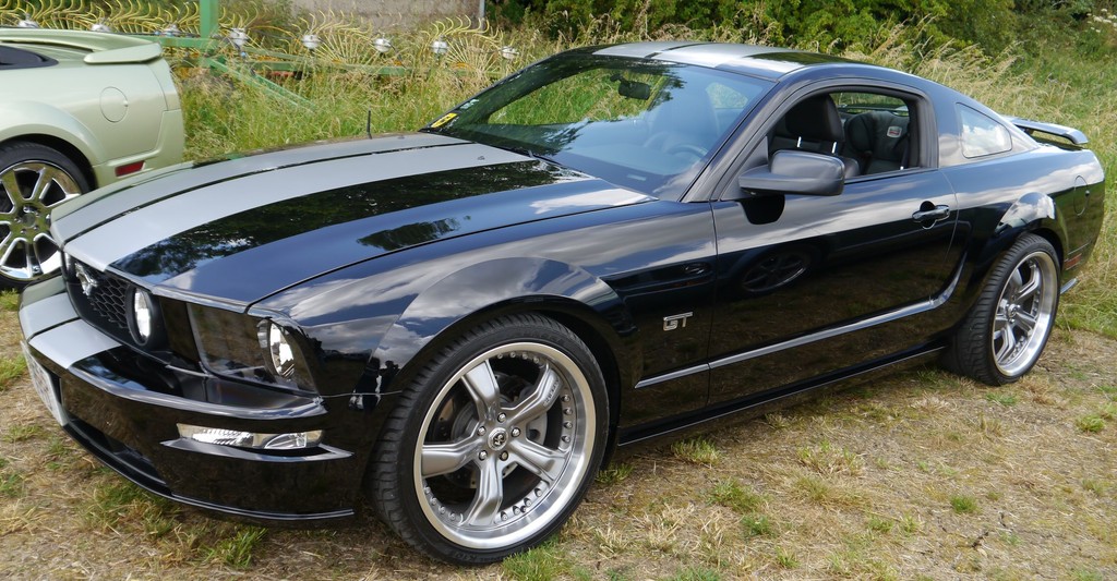 Name:  P1080383_zps8lz2igxg.jpg
Views: 134
Size:  237.9 KB