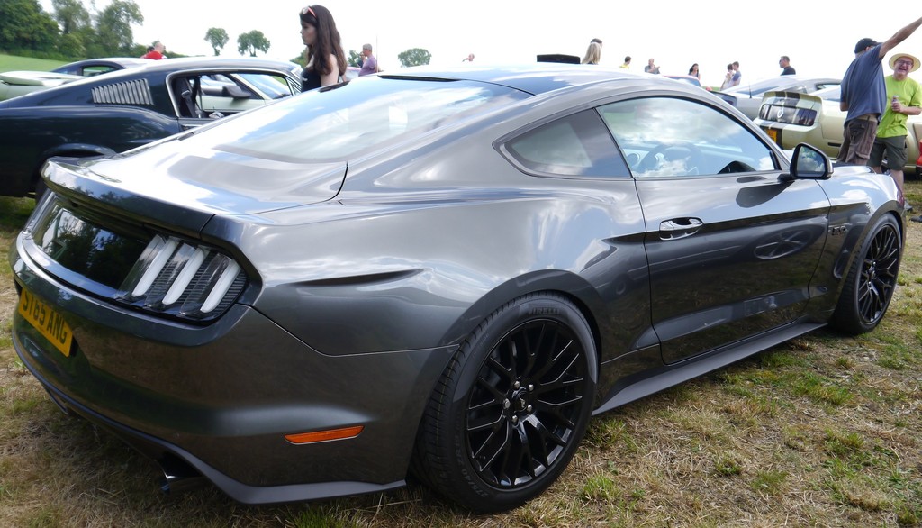 Name:  P1080384_zpsytzkxu04.jpg
Views: 175
Size:  201.2 KB