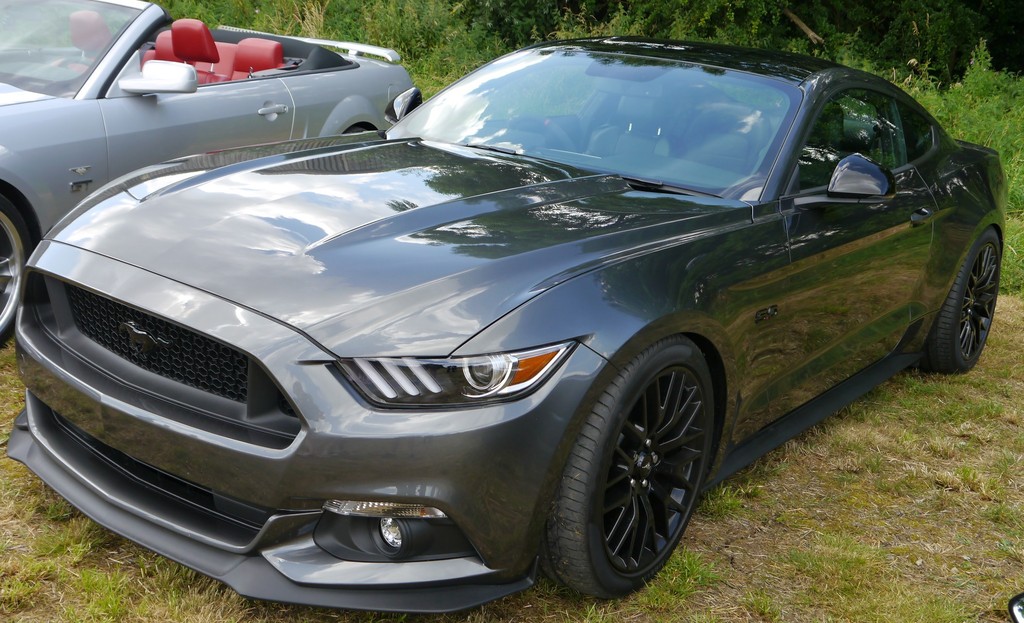 Name:  P1080385_zpsp60yz8kv.jpg
Views: 148
Size:  231.9 KB