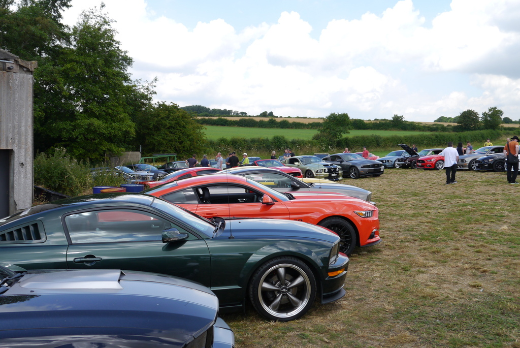 Name:  P1080386_zpsaz2oi4nh.jpg
Views: 160
Size:  378.6 KB