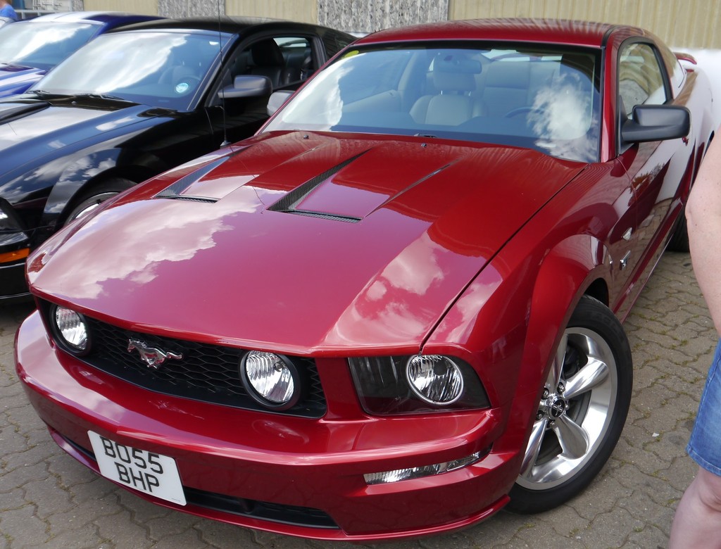 Name:  P1080387_zpscsgpjpi6.jpg
Views: 138
Size:  224.9 KB