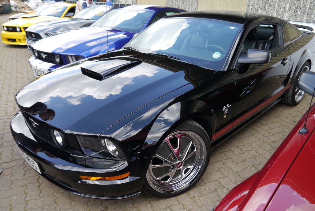 Name:  P1080388_zpsavptbqmd.jpg
Views: 131
Size:  406.0 KB