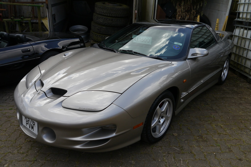 Name:  P1080390_zpsugfd6r6u.jpg
Views: 161
Size:  204.3 KB