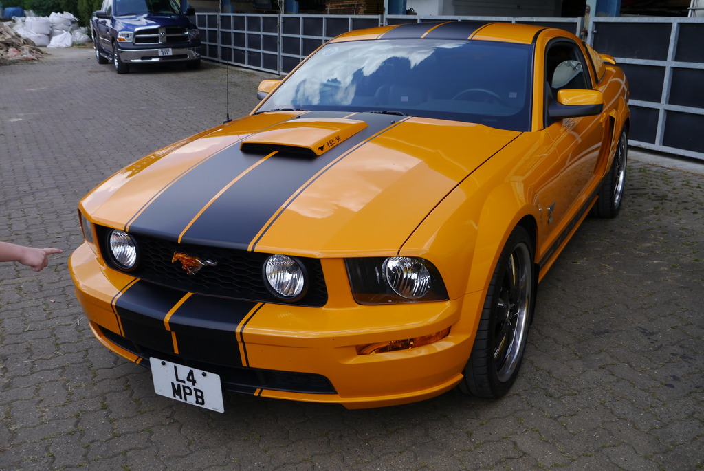 Name:  P1080391_zpsy5qd6jax.jpg
Views: 154
Size:  242.8 KB