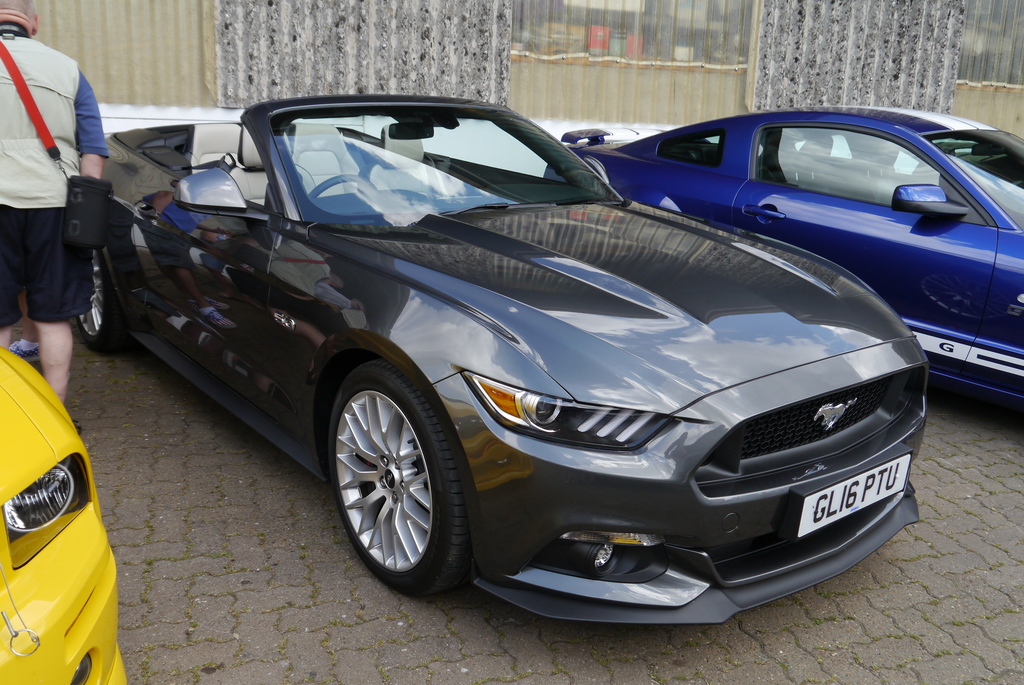 Name:  P1080393_zpsl1dvfofl.jpg
Views: 134
Size:  376.3 KB