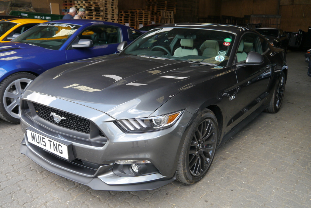 Name:  P1080396_zpsuudspurw.jpg
Views: 128
Size:  375.8 KB