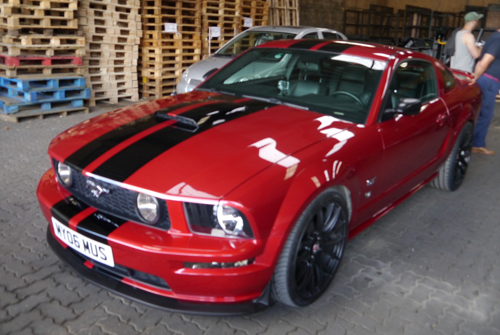 Name:  P1080401_zpsxpclkhjv.jpg
Views: 146
Size:  197.3 KB