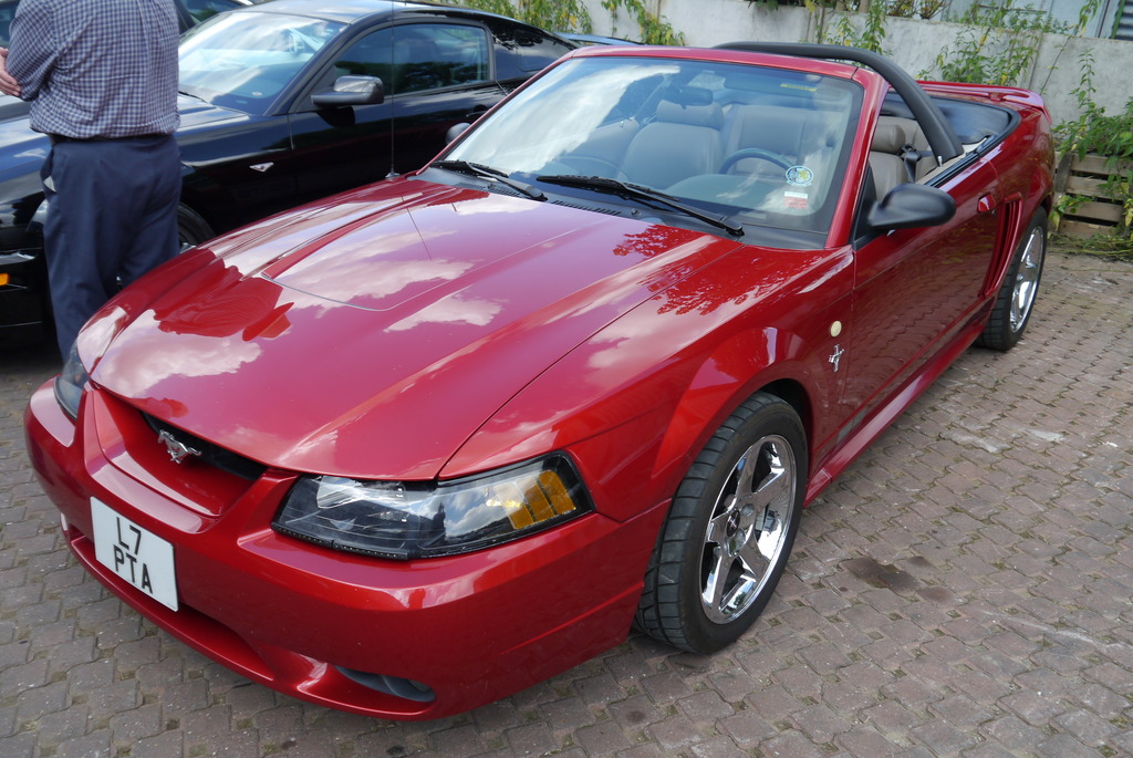 Name:  P1080404_zpsvzksldo2.jpg
Views: 128
Size:  266.2 KB