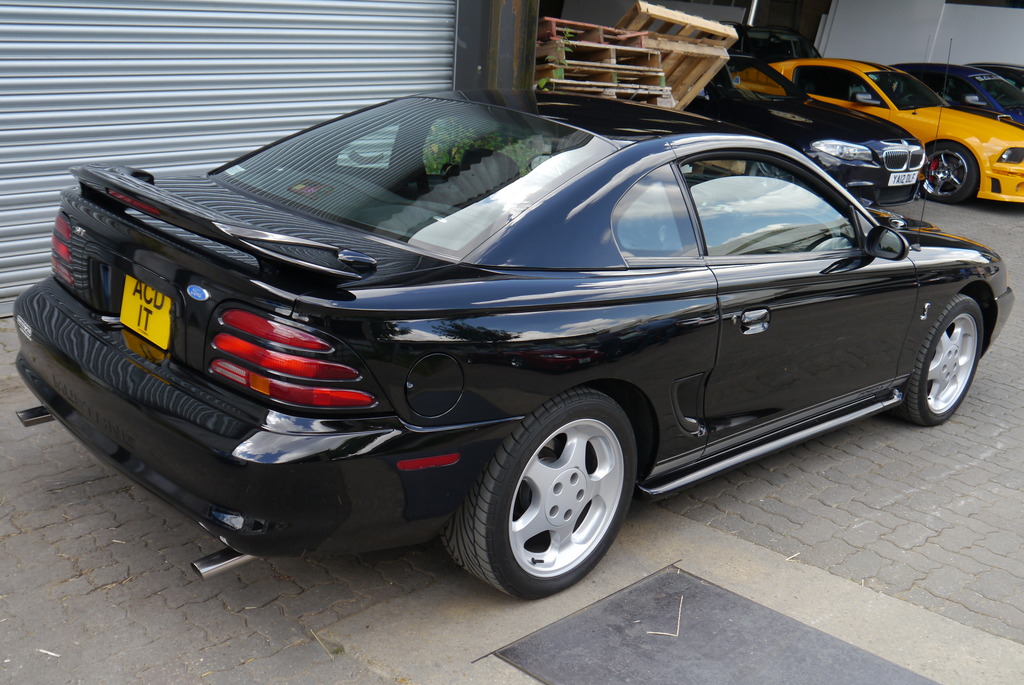 Name:  P1080405_zps44oqqjje.jpg
Views: 131
Size:  259.6 KB