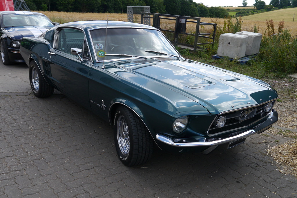 Name:  P1080407_zpsqhopyunb.jpg
Views: 149
Size:  268.4 KB