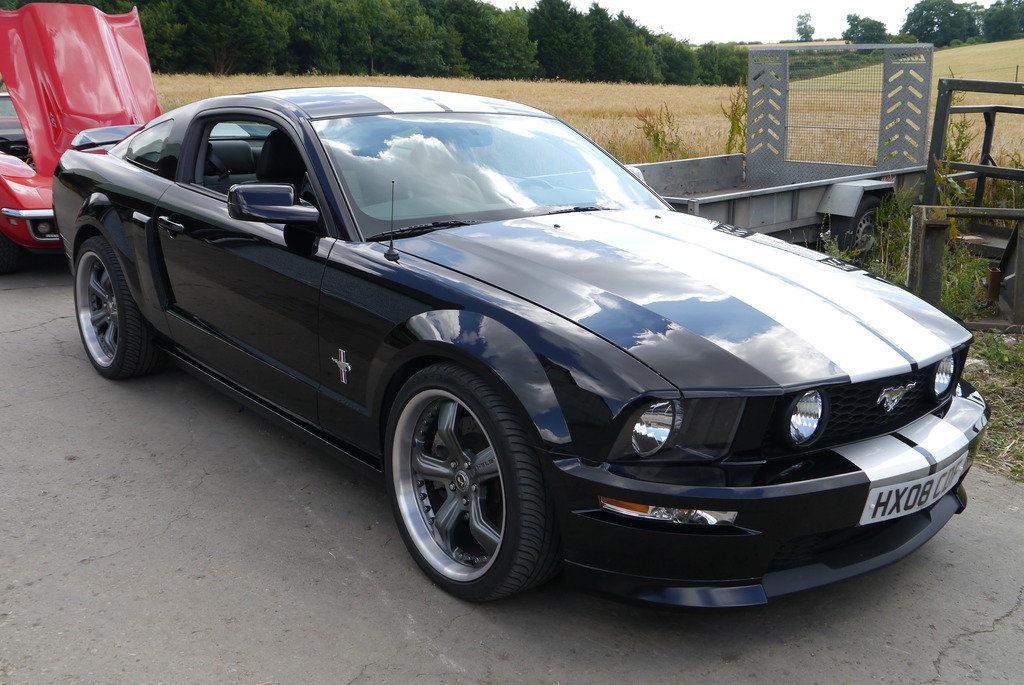 Name:  P1080408_zpsqdwfpfrt.jpg
Views: 130
Size:  243.9 KB