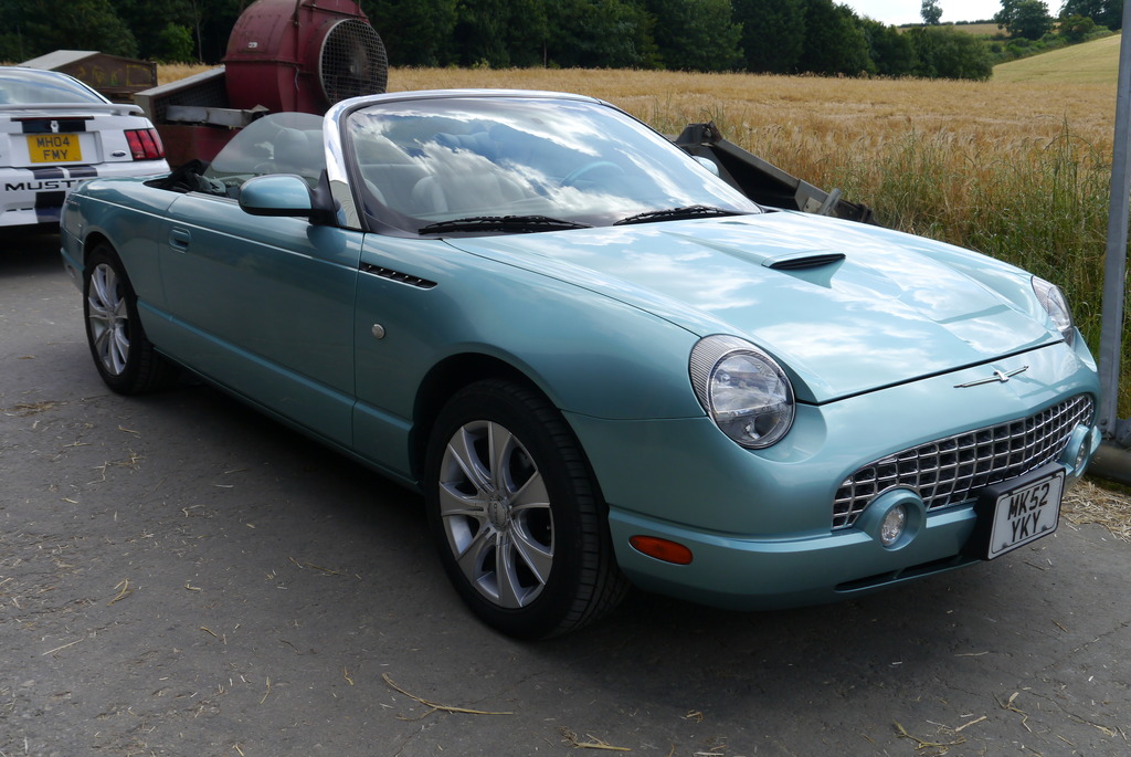 Name:  P1080412_zps2sdsldeu.jpg
Views: 99
Size:  234.4 KB