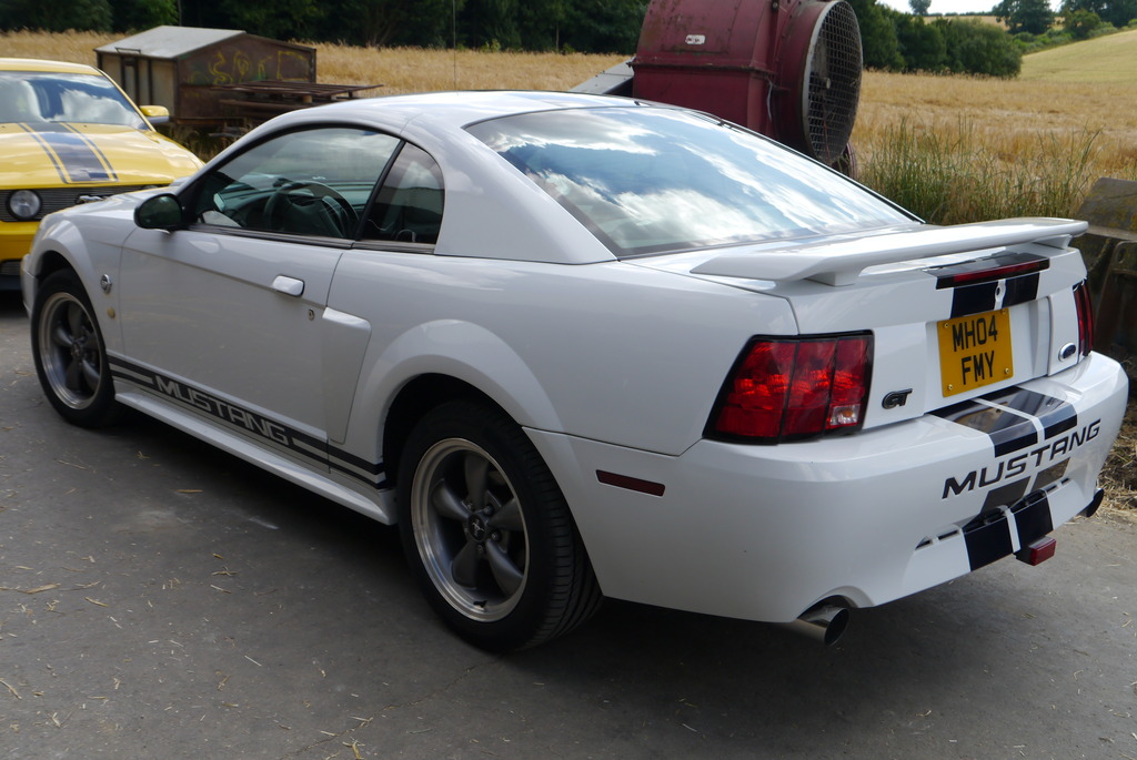 Name:  P1080413_zpsfmpuz8pu.jpg
Views: 82
Size:  206.0 KB