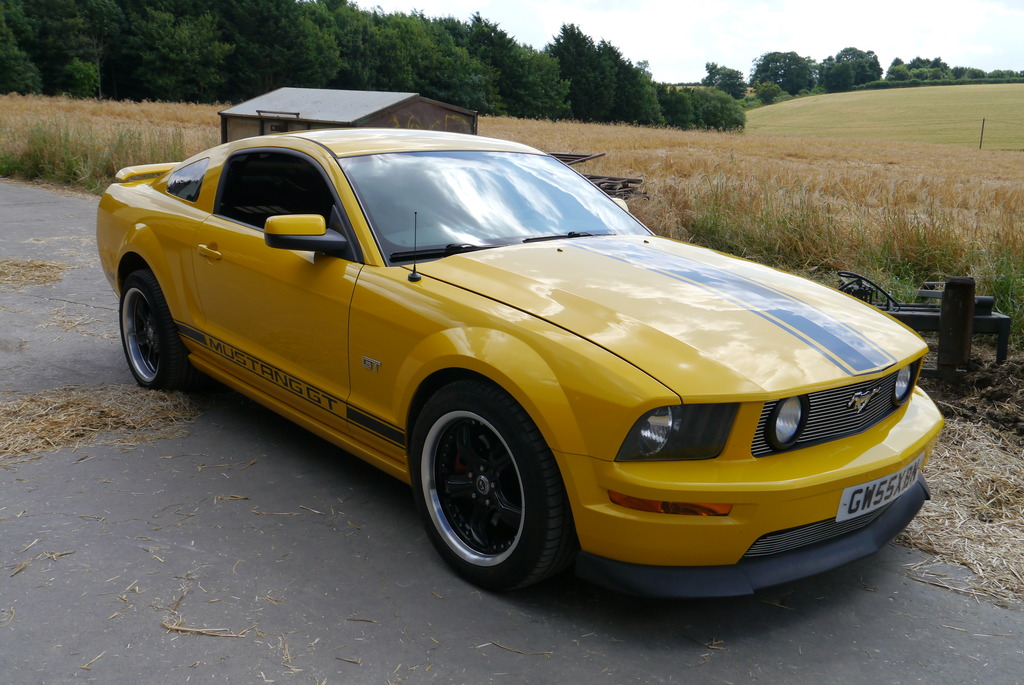 Name:  P1080414_zps9ixwwssq.jpg
Views: 85
Size:  252.4 KB