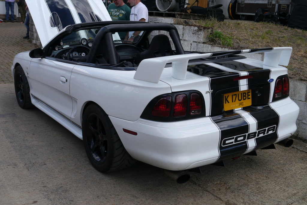 Name:  P1080415_zpsopqijmki.jpg
Views: 80
Size:  364.9 KB