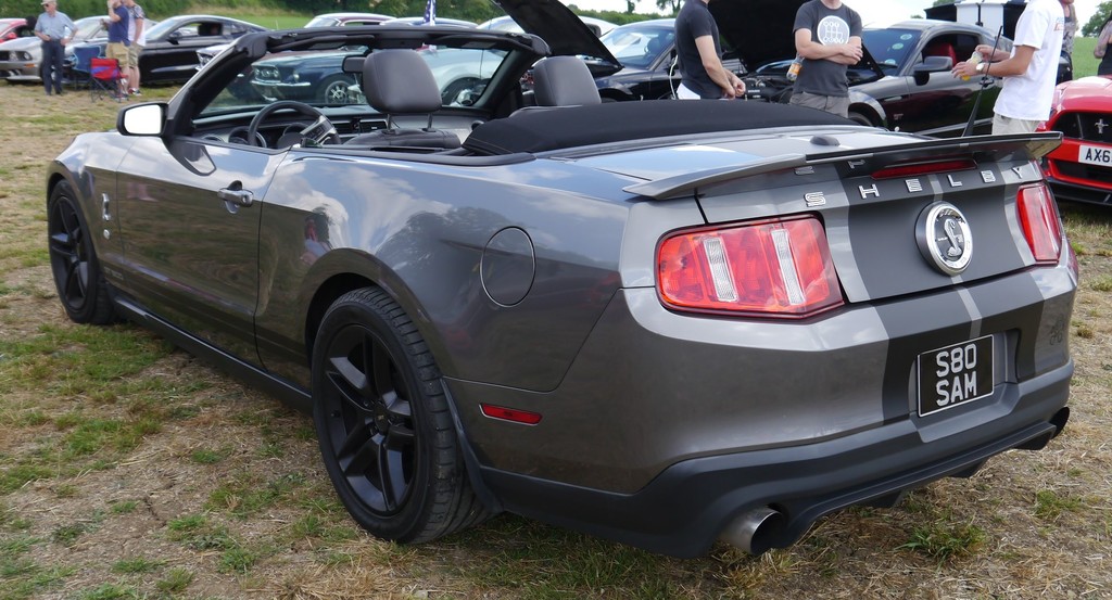 Name:  P1080416_zpshnelomed.jpg
Views: 81
Size:  210.4 KB