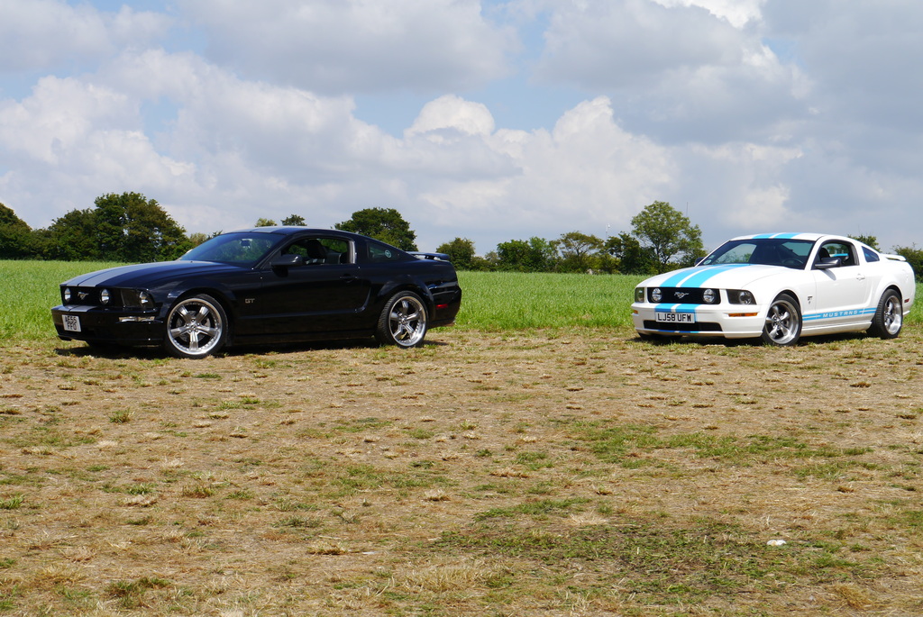 Name:  P1080417_zpsm1odipjh.jpg
Views: 96
Size:  349.1 KB