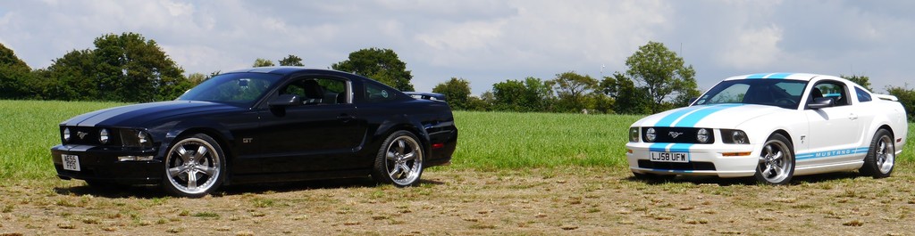 Name:  P1080417%202_zpsnwsasfkp.jpg
Views: 88
Size:  119.4 KB