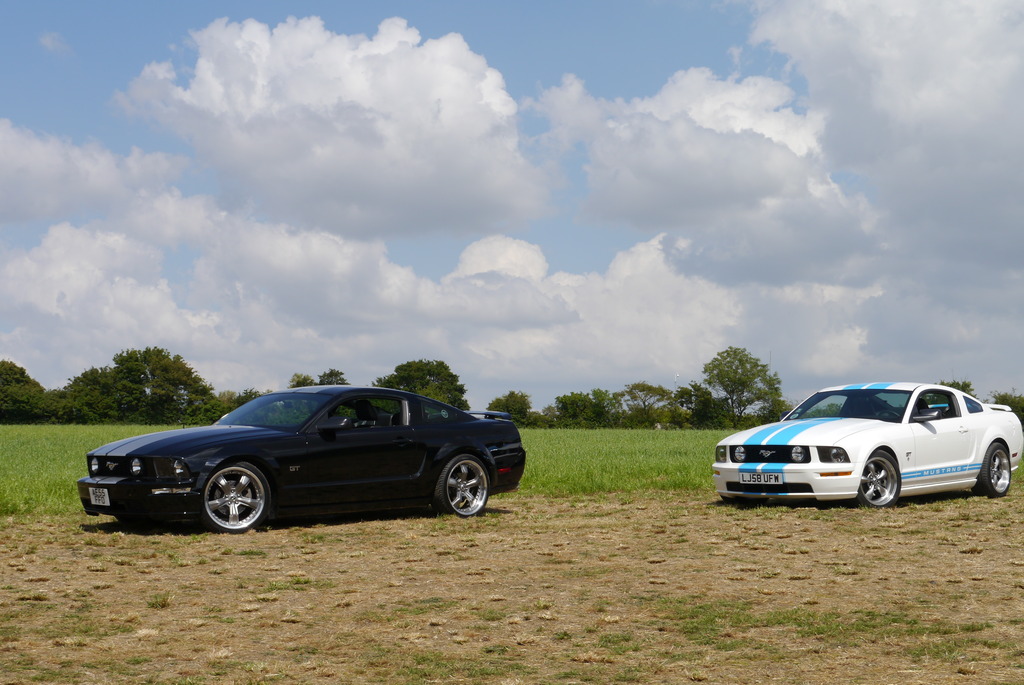 Name:  P1080418_zpsrx8uxend.jpg
Views: 83
Size:  223.9 KB