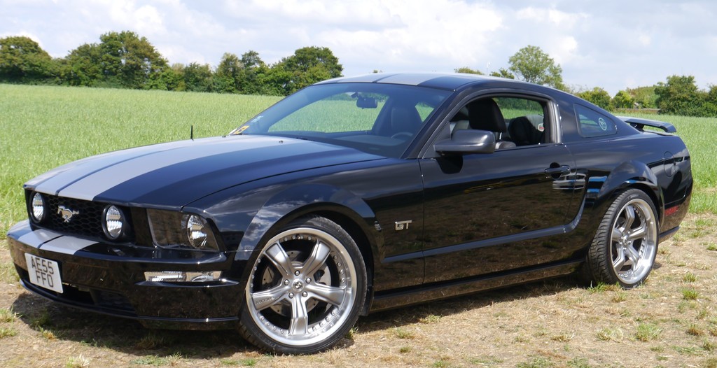 Name:  P1080419%202_zpsjbhh7irp.jpg
Views: 88
Size:  187.0 KB