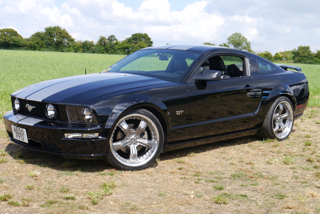 Name:  P1080419_zpsdvcquakk.jpg
Views: 92
Size:  403.2 KB