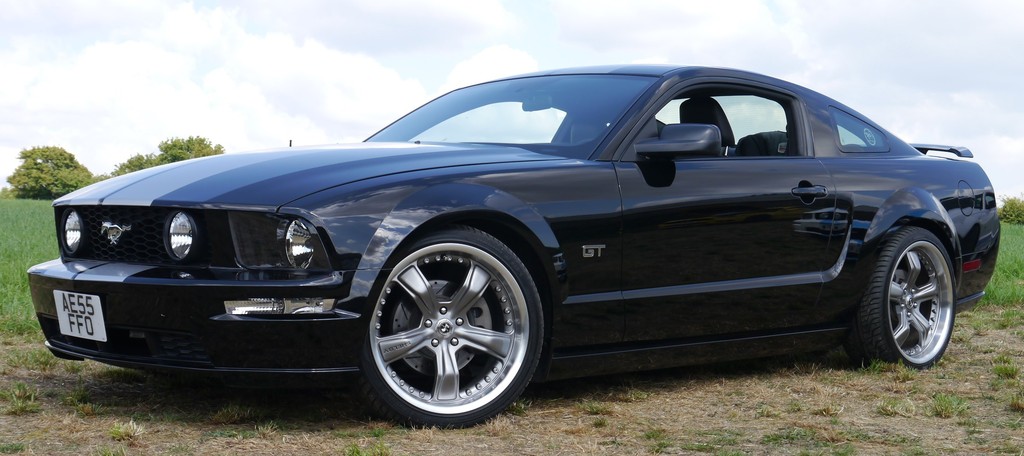 Name:  P1080420%202_zpspodzni4t.jpg
Views: 106
Size:  147.5 KB