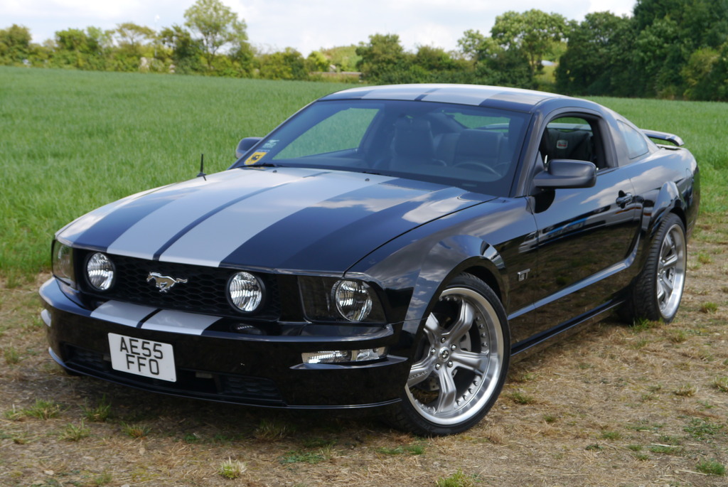 Name:  P1080422_zpsxonjcwup.jpg
Views: 115
Size:  241.0 KB